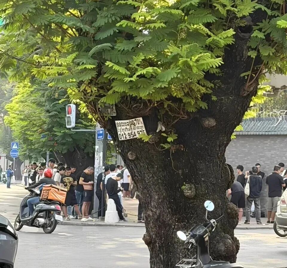 柬埔寨电诈死灰复燃？